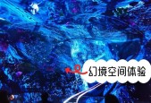 《天天炫斗》幻境攻略（打造实力高手）