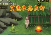 探秘挨饿荒野（解锁隐秘之谜）