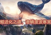 妄想山海万年鼍围（一场跨越山海的冒险之旅）