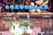 彩虹岛170级到300级升级攻略？如何快速提升等级？