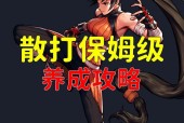dnf武极应该选择哪种属性？属性选择的依据是什么？