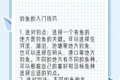 地下城起源钓鱼技巧有哪些？如何提高钓鱼效率？