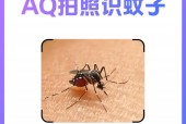 AQ 推出拍照识蚊子功能