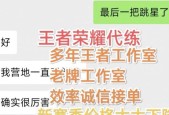 代打王者荣耀账号安全吗？
