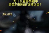 魔兽世界宠物对战神兽战斗策略是什么？