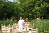 花与剑（端午传统与现代娱乐相融合）