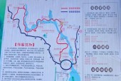 峡谷分路段的策略有哪些？