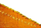 《孤岛先锋》（荒野的霸主在大漠风采中崭露头角）