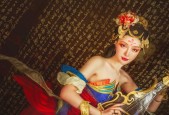 王者荣耀杨玉环羞花皮肤多少钱？购买后如何使用？
