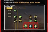 dnf排位赛技能配置技巧？如何优化技能组合？