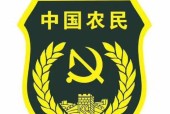 臂章使用后如何最大化效益？