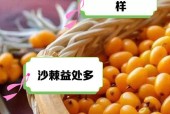 沙一果的获取方法是什么？