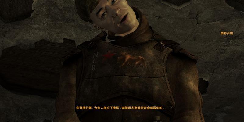 辐射（全面解析辐射世界的危机与机遇）  第1张