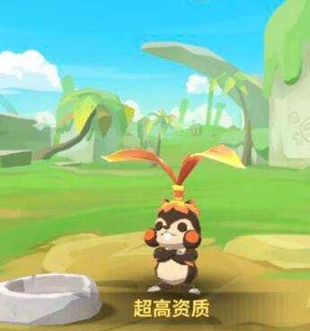 乌拉拉海星的多种用途及零氪海星的主要用途解析（探索游戏中乌拉拉海星的神奇功能与零氪海星在游戏中的应用）  第1张