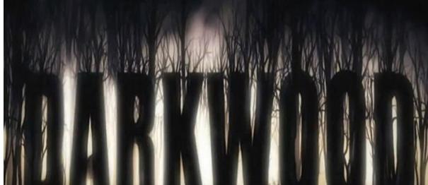 《解锁Darkwood的存档位置，畅游神秘森林》（探秘存档位置）  第1张