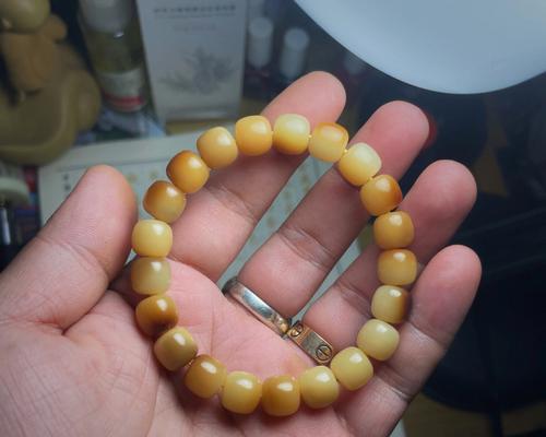 《以妄想山海》中炭烧素串儿的收集方法（探寻游戏世界中的炭烧素串儿）  第1张