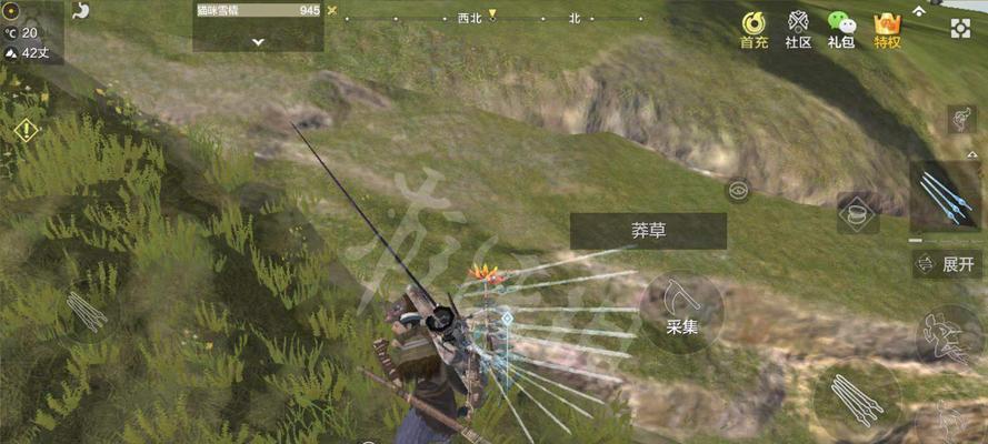 《探秘妄想山海游戏中的营地烹饪方法一览》（解锁全新美食）  第1张