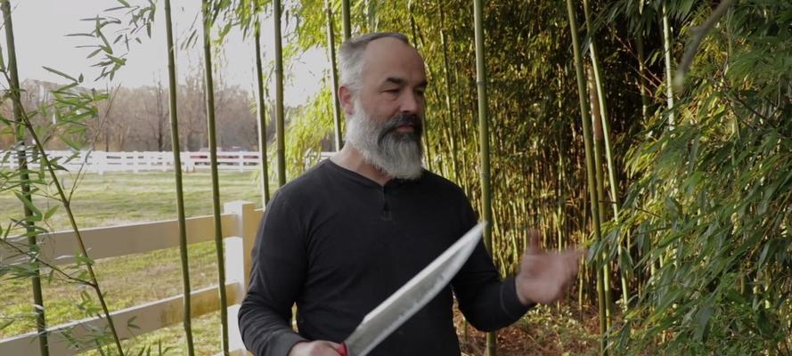 《阴阳师》游戏中的国宝级刀匠锻刀访谈揭秘  第2张