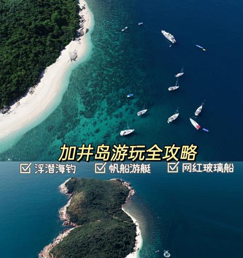 《时光飞舞，梦回02年珊瑚海岛》（《飞鱼再次时隔十年的邂逅》）  第1张