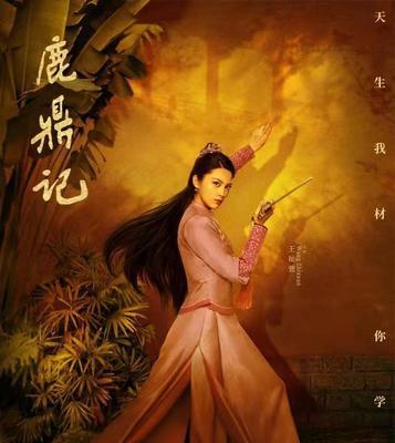 以鹿鼎记手游沐王府（追求独特风格）  第3张