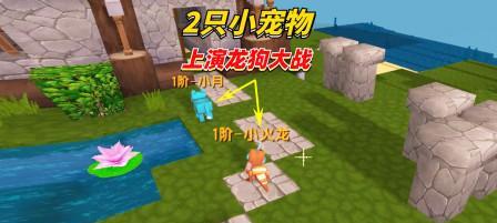 迷你世界狗喂养方法有哪些？  第1张