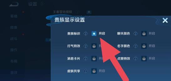 王者荣耀隐身功能如何开启？  第1张