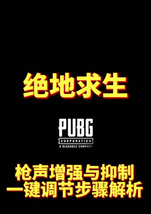 绝地求生枪声提示如何开启？  第2张
