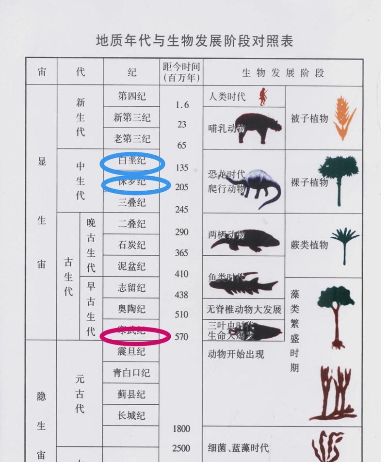 3进化玩法的详细步骤是什么？  第2张