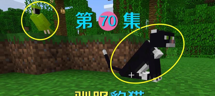 豹猫在英雄联盟手游中的上线时间是什么时候？如何获取？  第3张