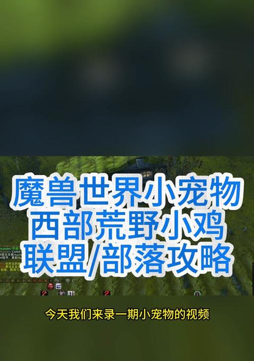 魔兽世界荒野之神怎么来的？获得方式和用途是什么？  第3张