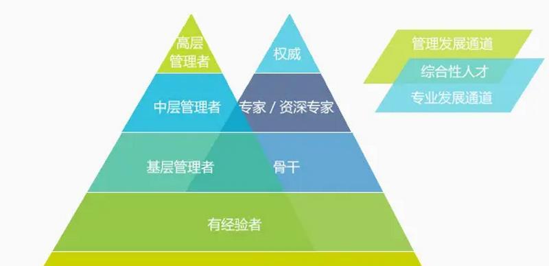 双排最佳职业组合是什么？搭配时应考虑哪些因素？  第2张