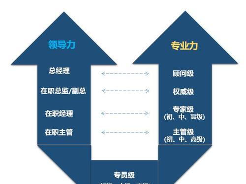 双排最佳职业组合是什么？搭配时应考虑哪些因素？  第3张