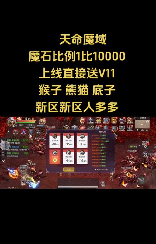 魔域战士应选择哪种启程猫？  第1张
