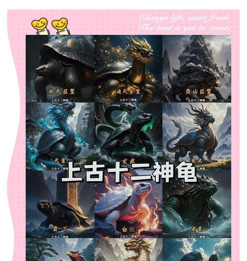 完美世界老龟的实力如何？老龟在游戏中的作用是什么？  第3张