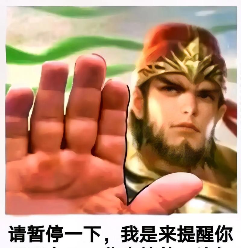 三国杀不玩梗的含义是什么？  第2张