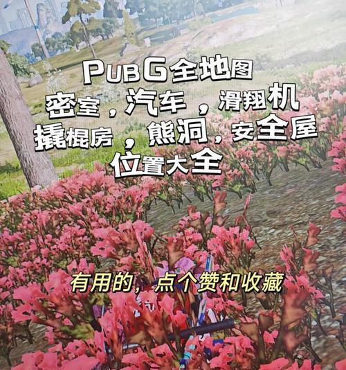绝地求生秘密后花园如何进入？进入方法是什么？  第3张