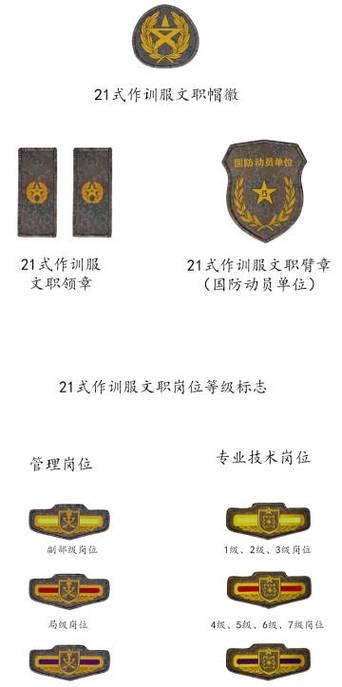 臂章使用后如何最大化效益？  第2张