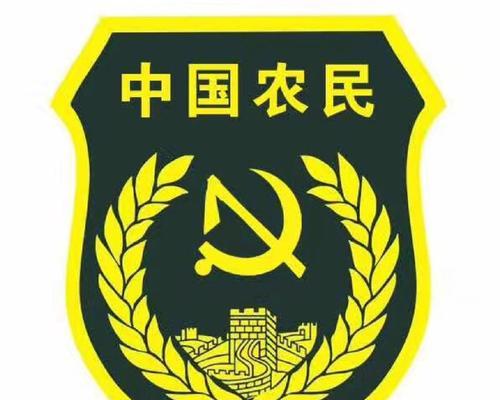 臂章使用后如何最大化效益？  第1张