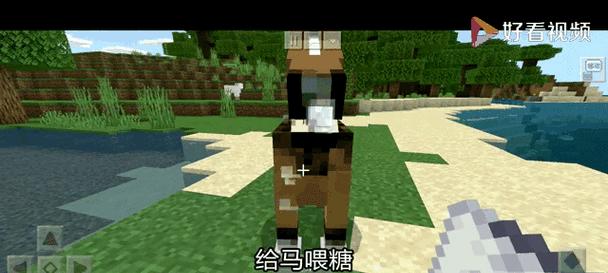 驯养鹿在《我的世界》中如何操作？驯养后有何用途？  第3张