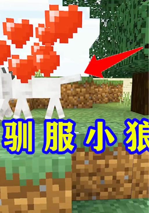 我的世界狼如何复活？复活狼需要哪些条件？  第3张