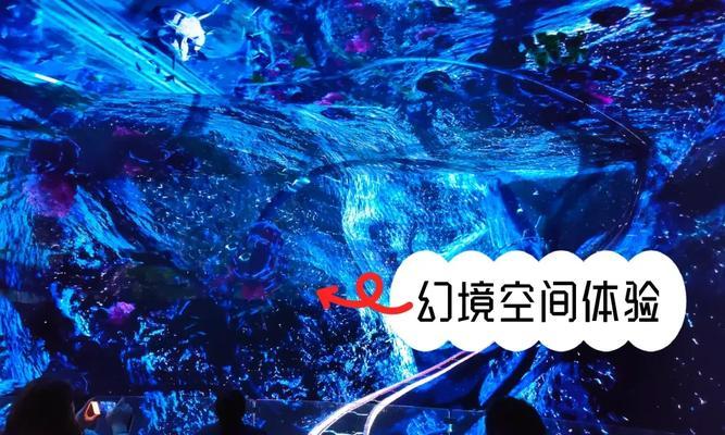 《天天炫斗》幻境攻略（打造实力高手）  第1张
