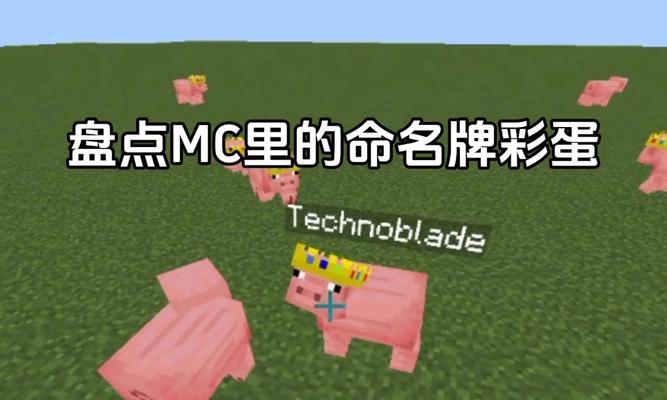 我的世界魔法世界彩蛋制作方法？  第3张