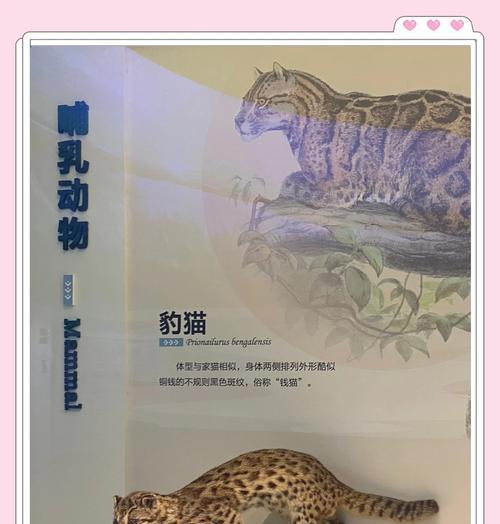 《我的世界》游戏中豹猫的习性及驯服方法（探寻豹猫的奇妙世界）  第2张