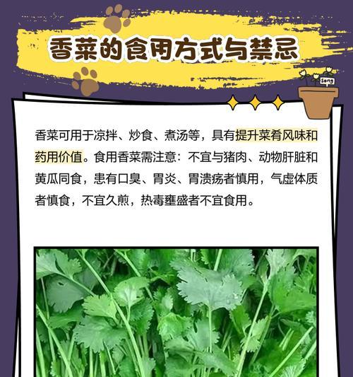 王者荣耀中香菜名字的由来是什么？  第2张