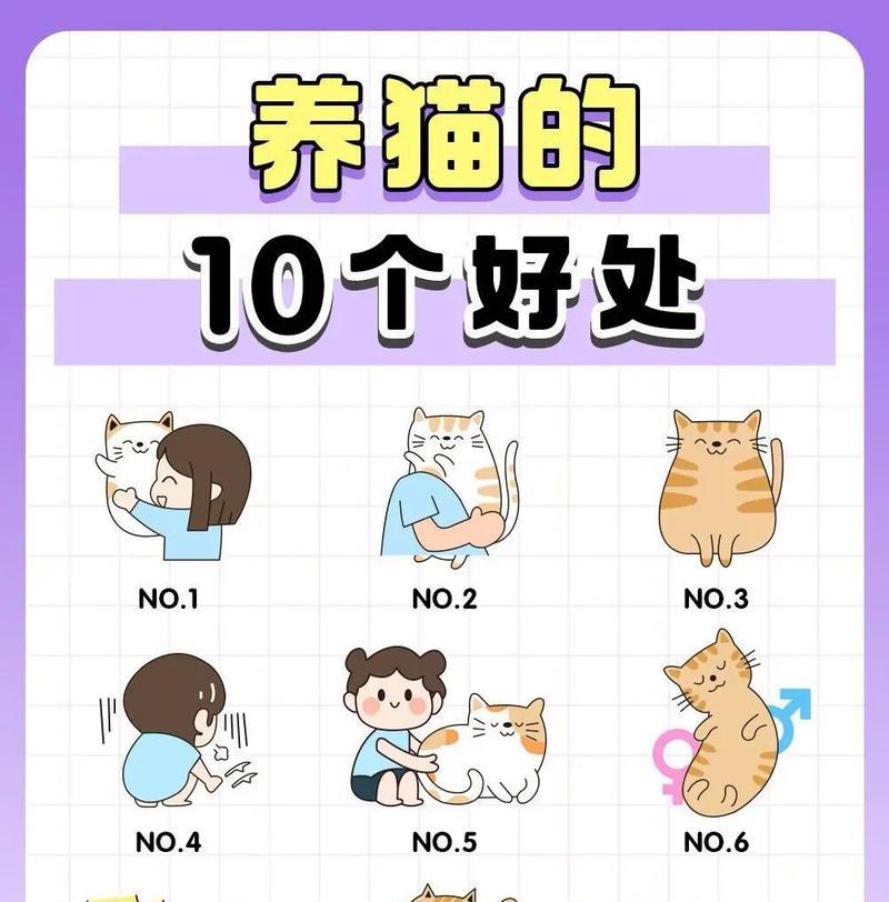 我的世界中如何养猫？养猫有什么好处？  第1张