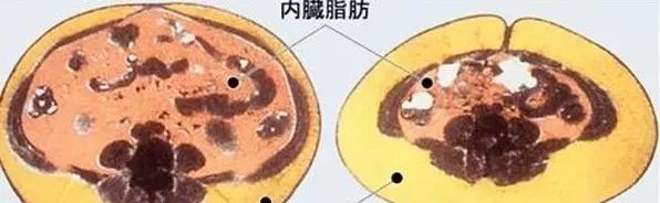 我的世界中脂肪提炼的方法是什么？  第3张