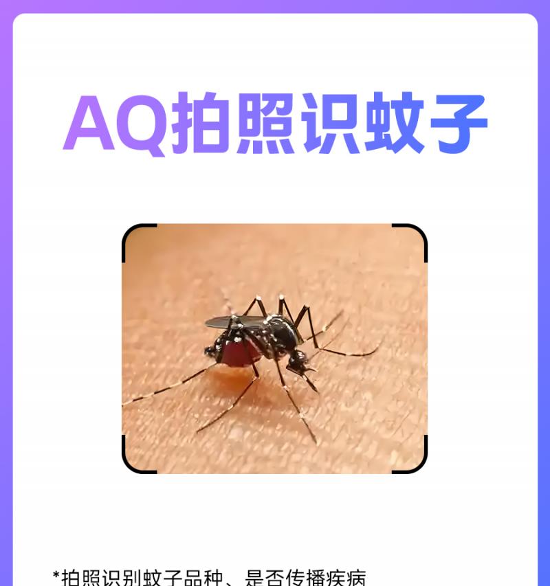 AQ 推出拍照识蚊子功能  第1张