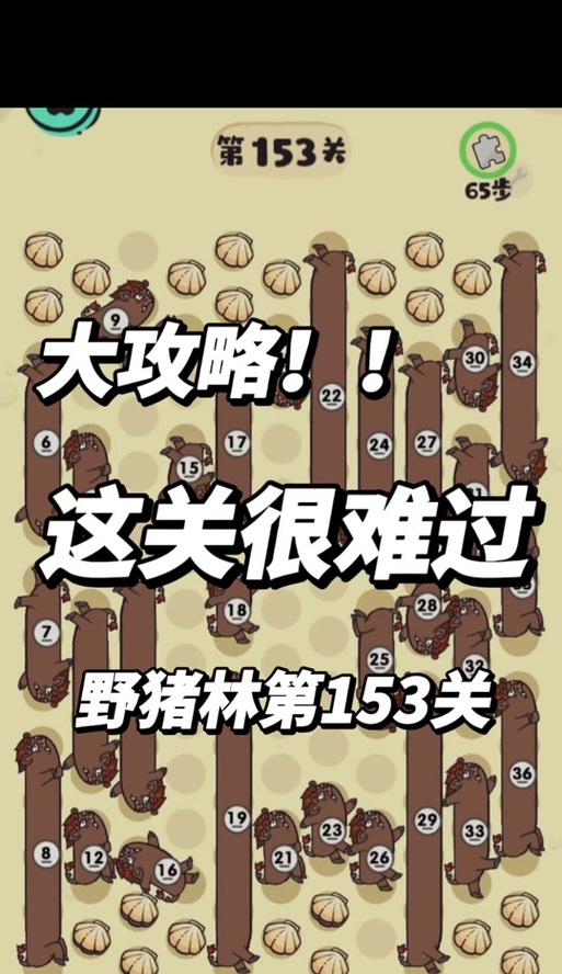 彩虹岛野猪林的进入方法是什么？有哪些特别的玩法？  第2张