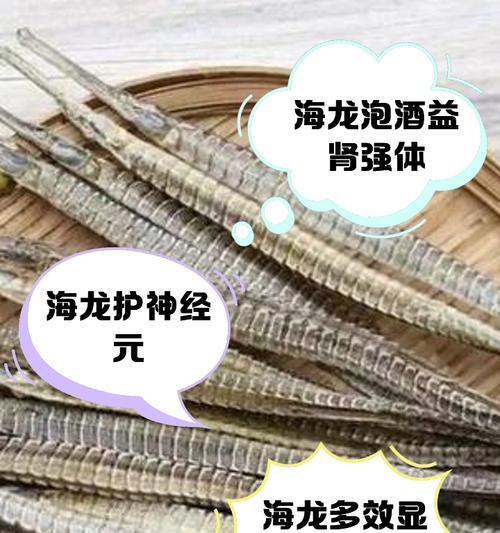 海龙调查记录获得方法是什么？记录有何用途？  第2张