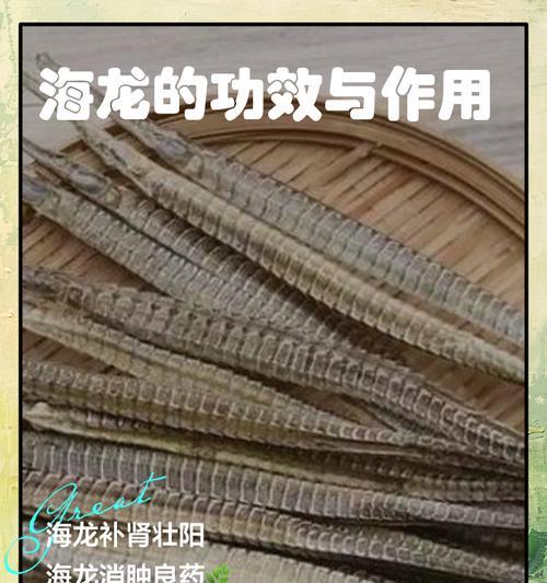 海龙调查记录获得方法是什么？记录有何用途？  第1张